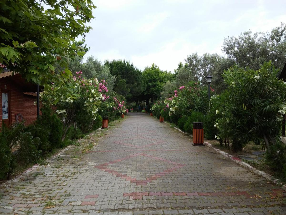 Kervan Tatil Koeyue Edremit  Kültér fotó